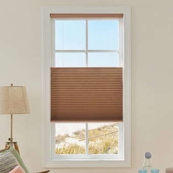 Single Cell Cellular Shades