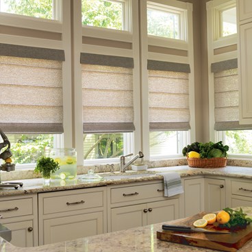 Semi-Sheer Roman Shades