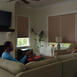 Alternate image for 9/16 Inch Blackout Cellular Shades