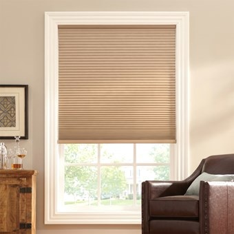Cordless Blackout Cellular Shades