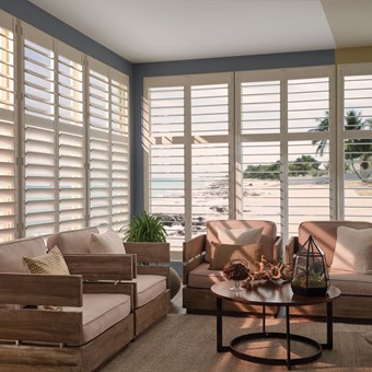 Alternate image for Traditional Shutters