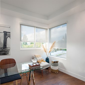 Alternate image for Designer Solar Roller Shades