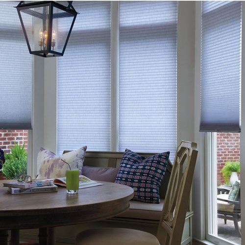 Light Filtering Cellular Shade