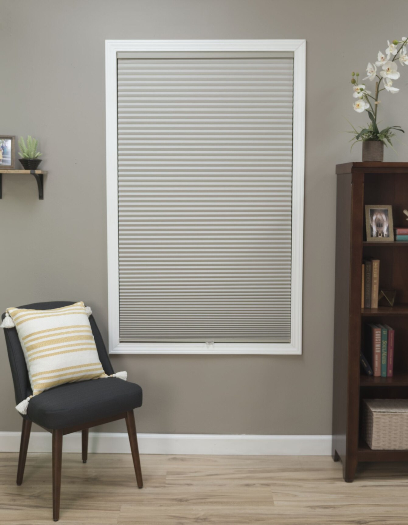 Budget Cordless Blackout Cellular Shades