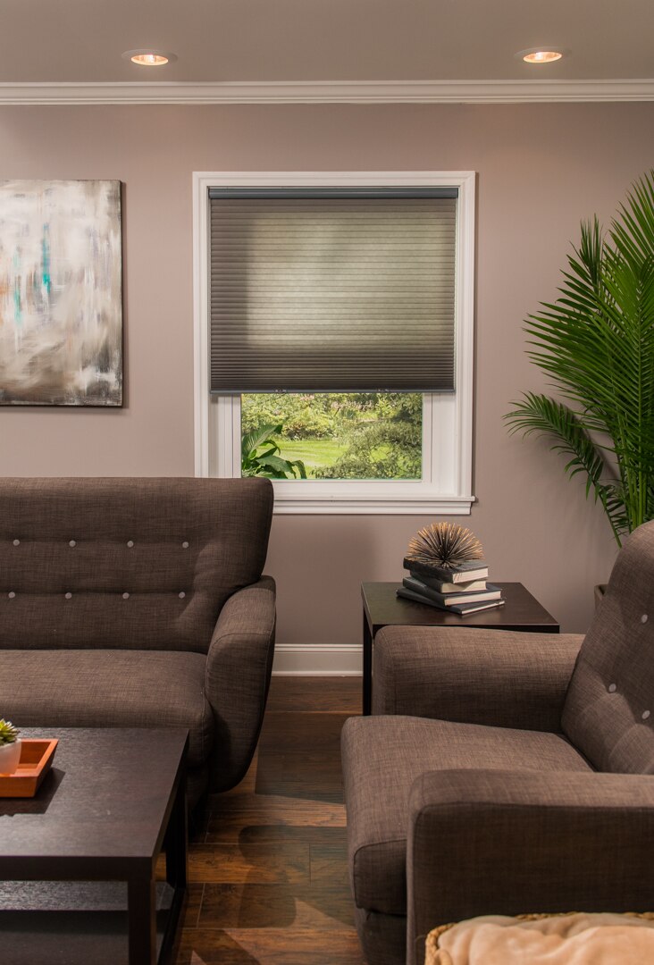 Economy Light Filtering Cellular Shades