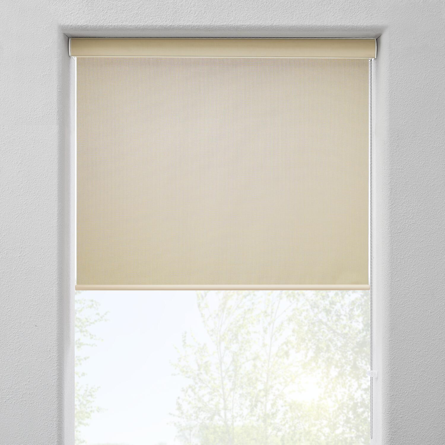 Sunscreen Shade Roller Blind See through Blind  5 Colors 