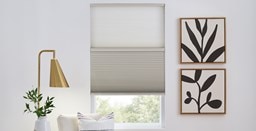 Budget Cordless Light Filtering Cellular Shades