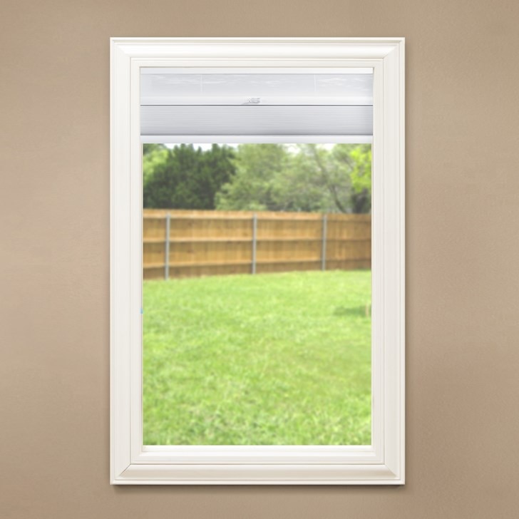 Fully raised day and night cellular shade