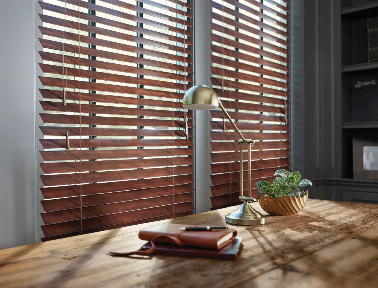 Levolor 2 Inch Faux Wood Blinds