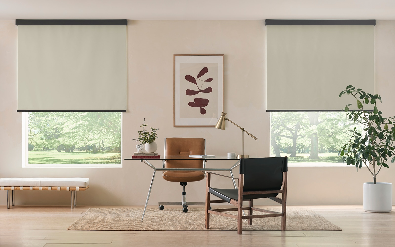 Premium Blackout Roller Shades
