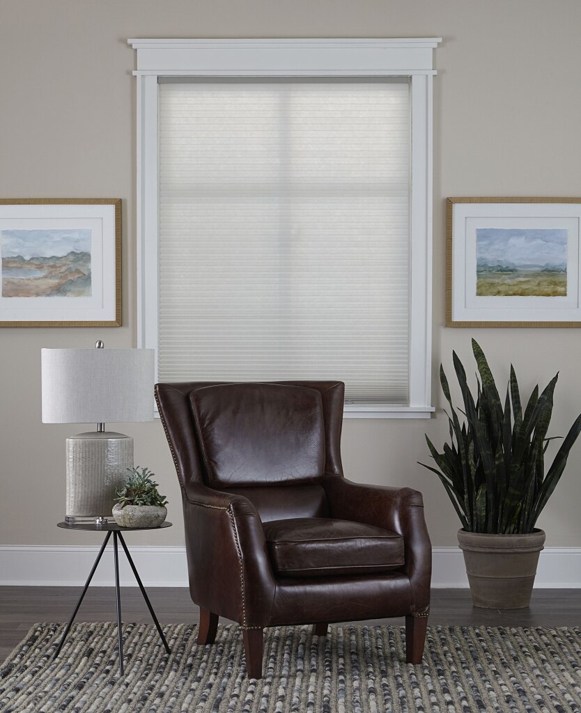 Budget Cordless Light Filtering Cellular Shade