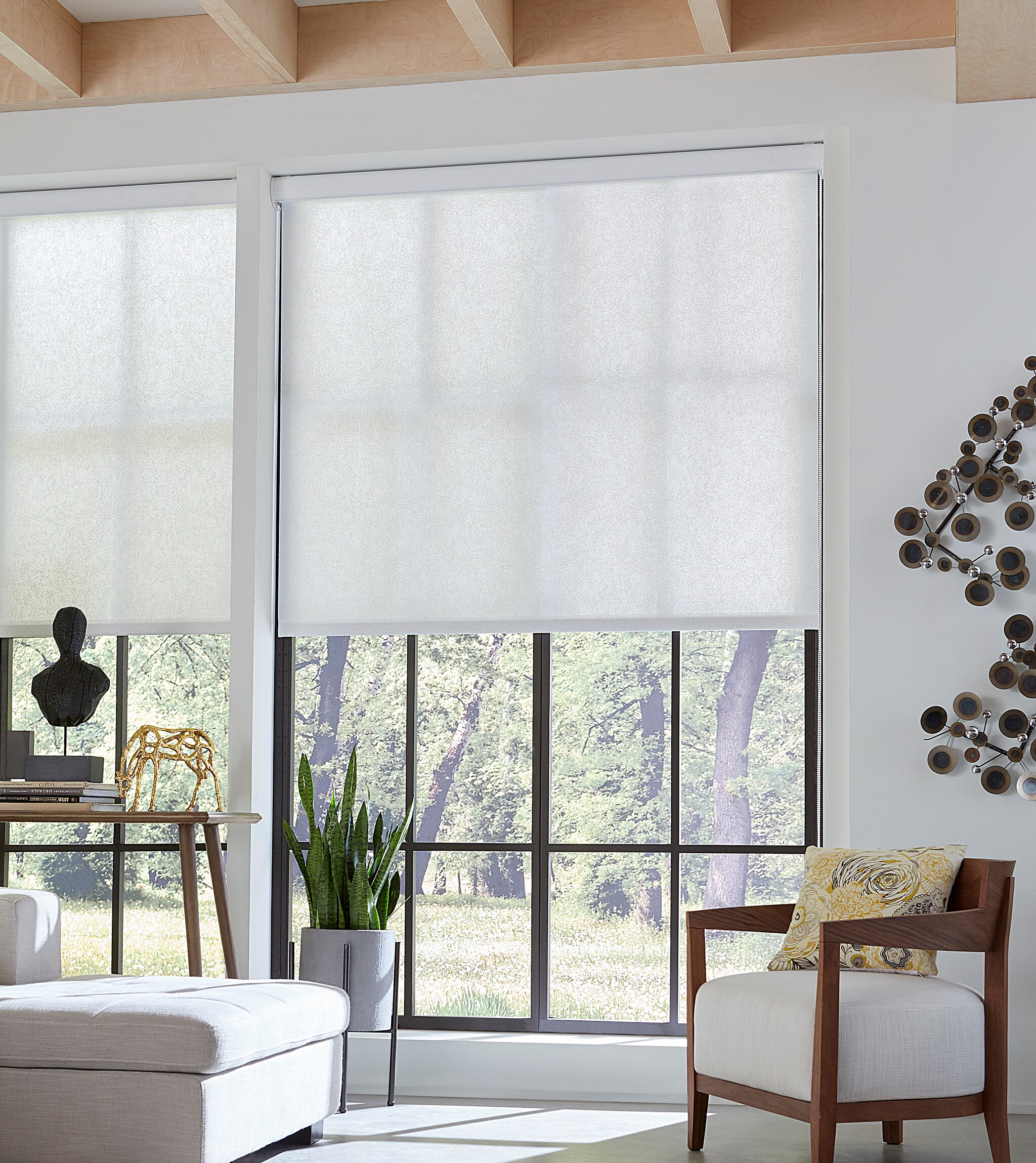 Light Filtering Roller Shade