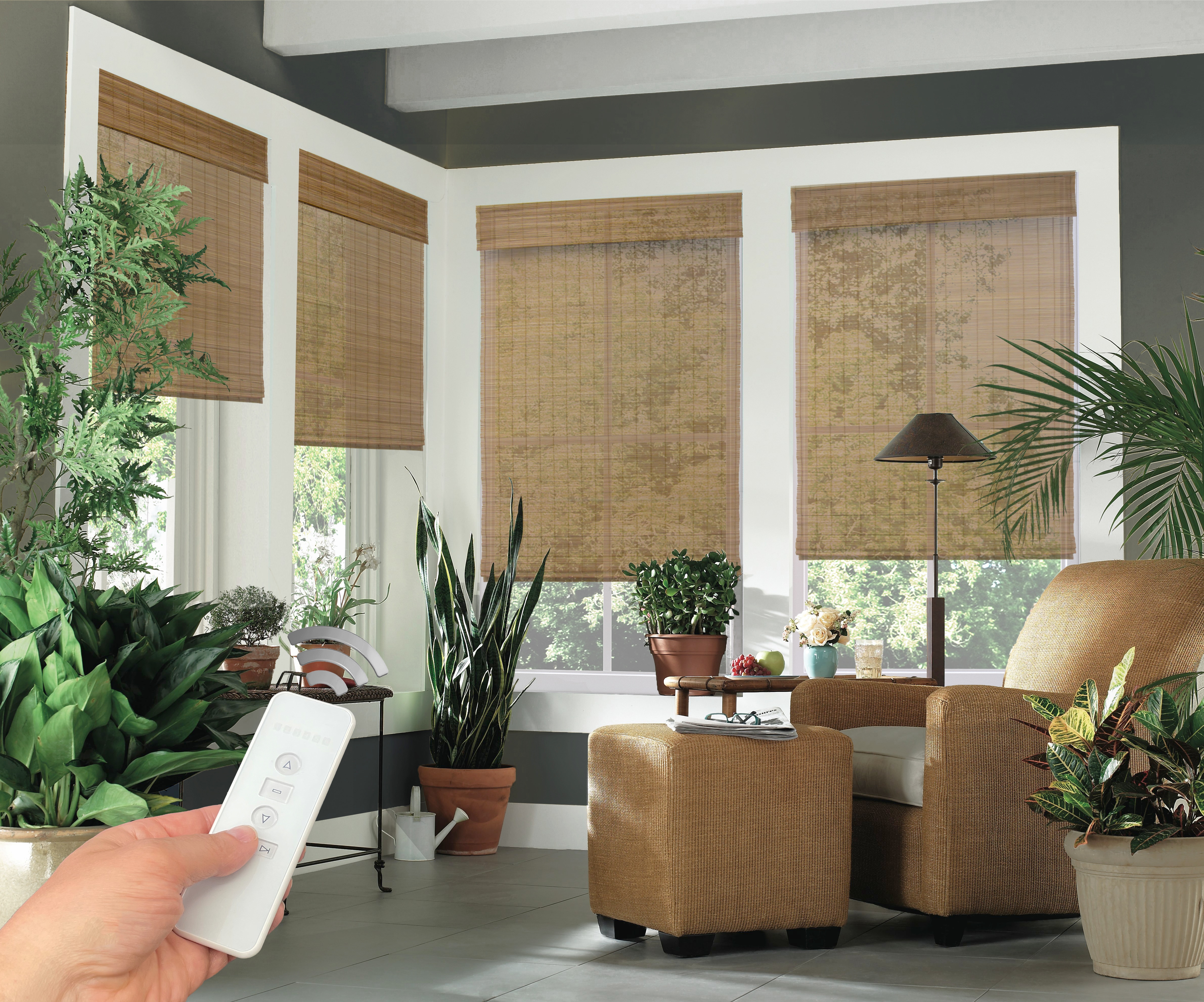EZA Motorized Woven Wood Shades