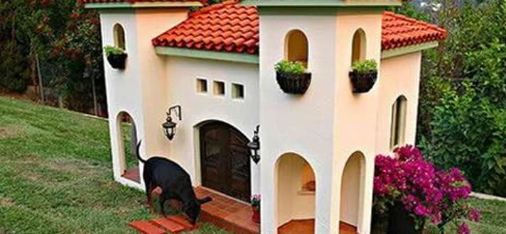 cape cod cozy cottage kennel