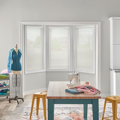 Amazon.com: Changshade Cordless 1” Vinyl Horizontal Mini