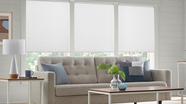 Light Filtering Cellular Shades
