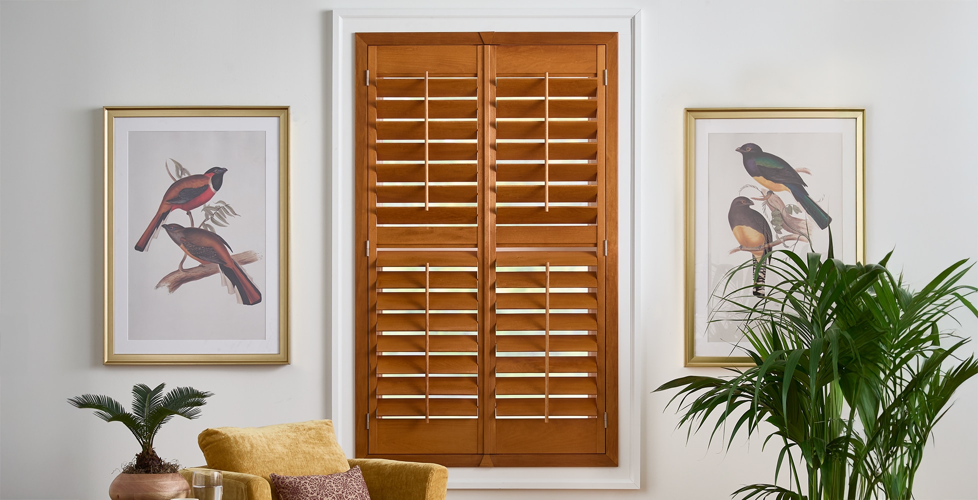 Simplicity Wood Shutters