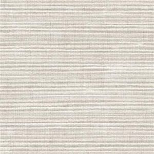 Cambric Oyster 0001