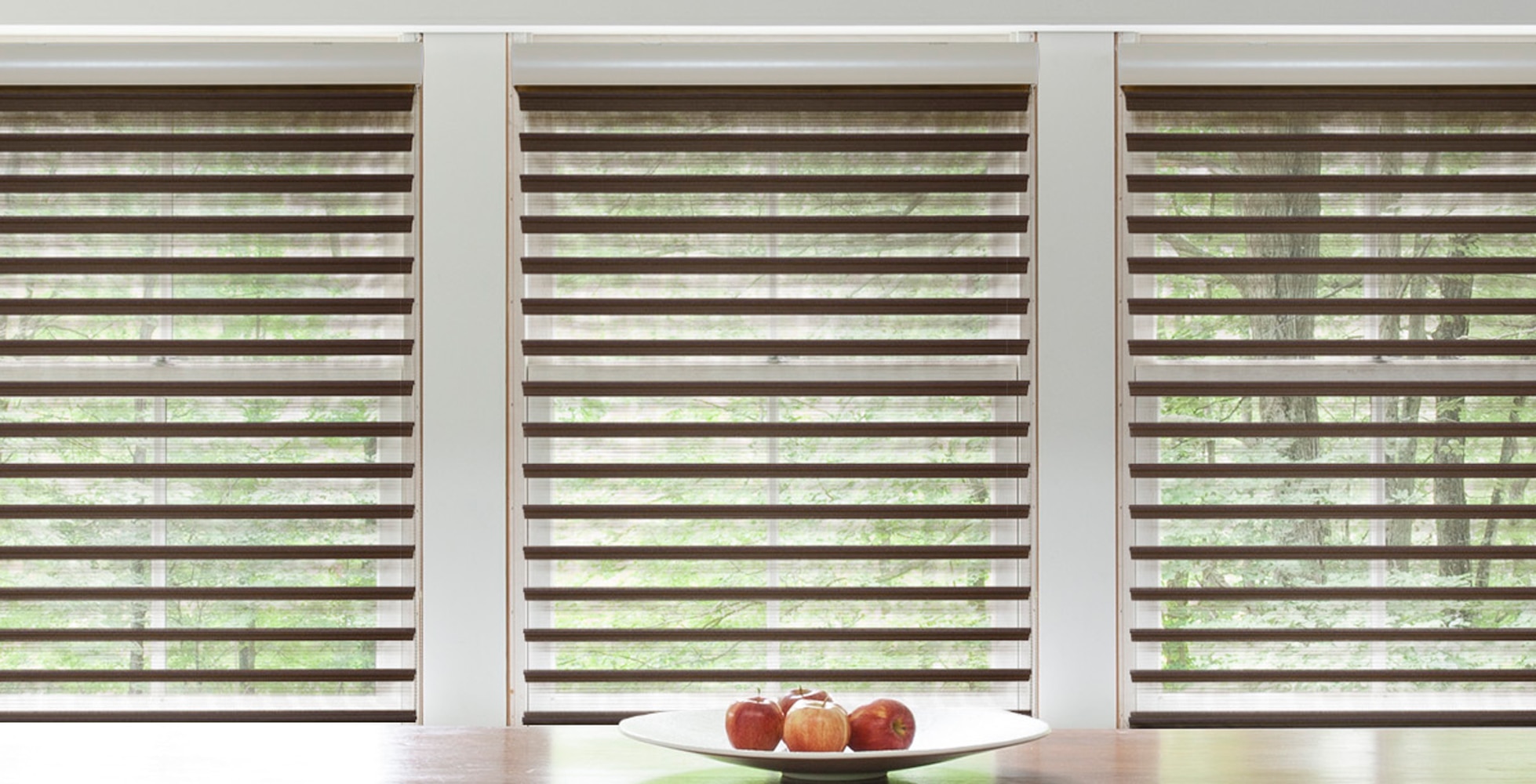 Motorized Sheer Shades