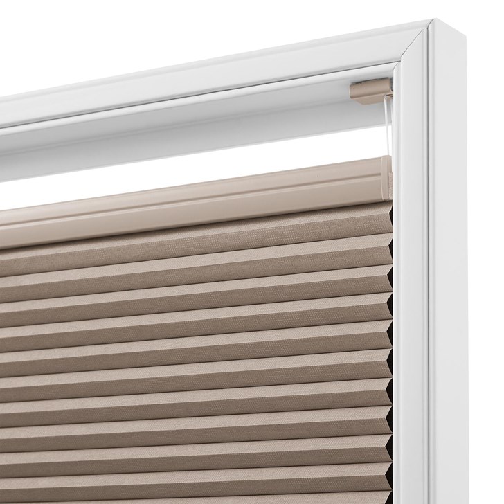 Color: Safari SC4102