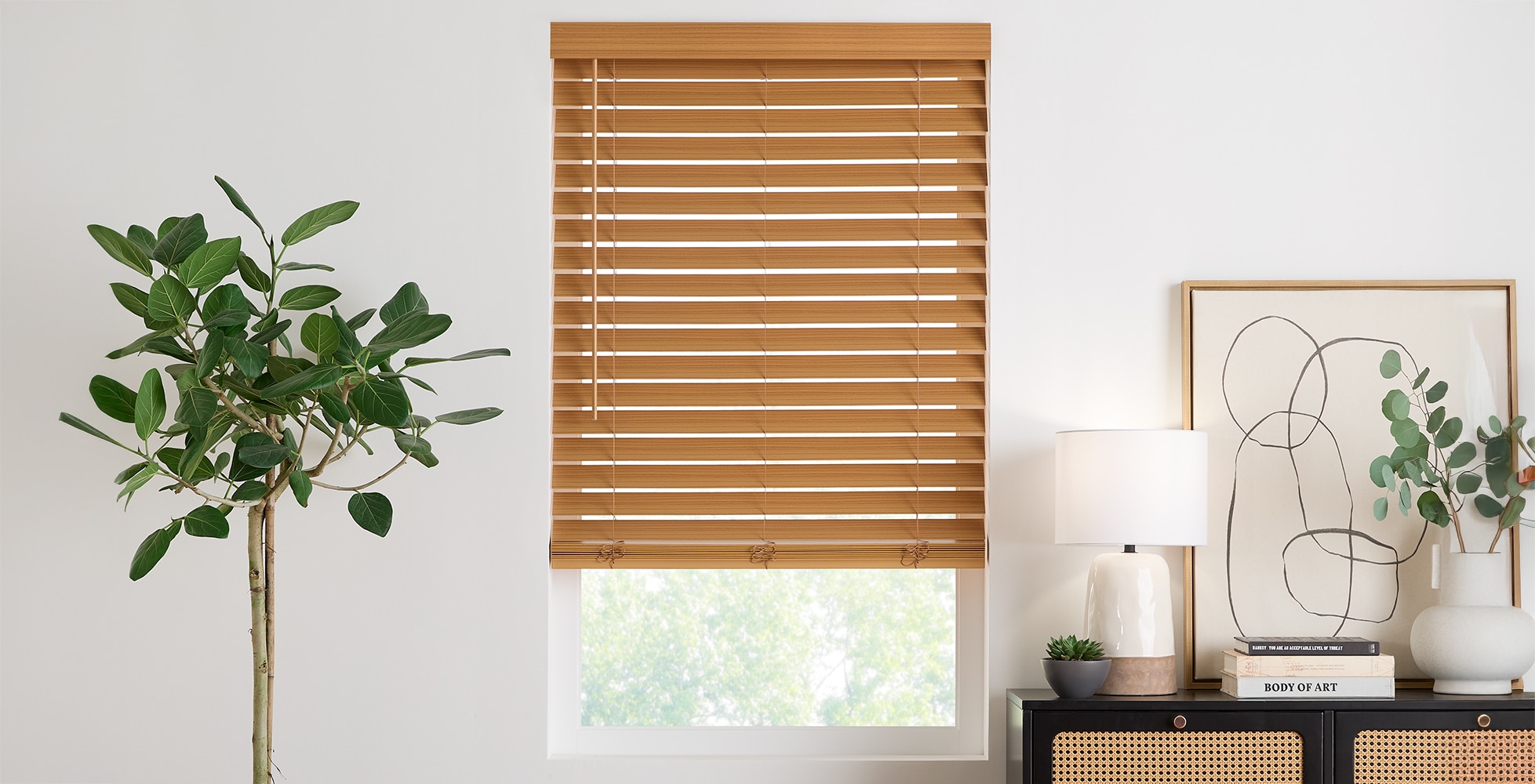 Economy Cordless 2 1/2 Inch Faux Wood Blinds