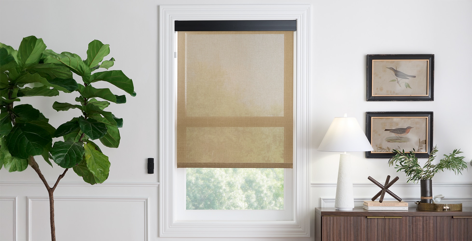 Motorized Solar Roller Shades