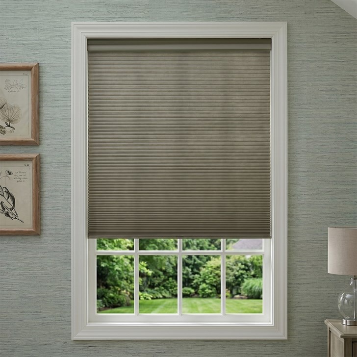 Color: Designer Textures Rosemary; Lift: Motorized Day/Night