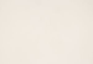 French Voile Buckskin LZ500