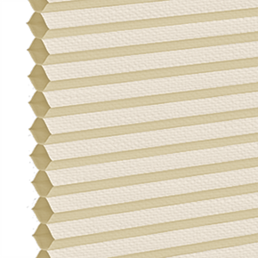 Dutch White 9/16 single cell