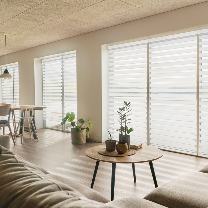 SouthSeas Zebra Shades - Laurello Crystal
