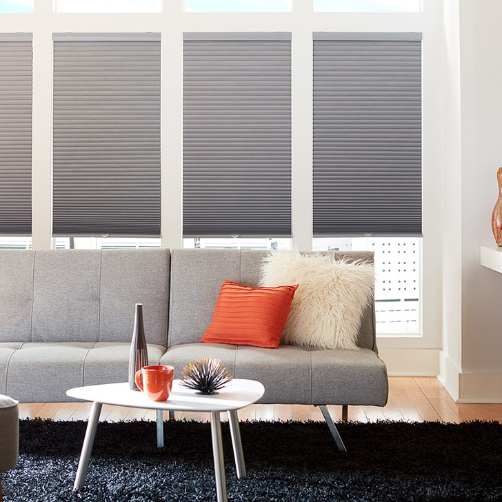 Blinds.com Budget Cordless Blackout Cellular Shade in Storm
