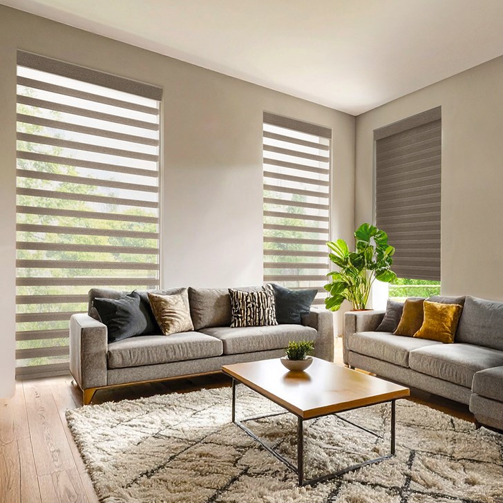 Color: Palm; Lift: Motorized; Opacity: Room Darkening