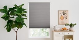 Basic Cordless Blackout Cellular Shades